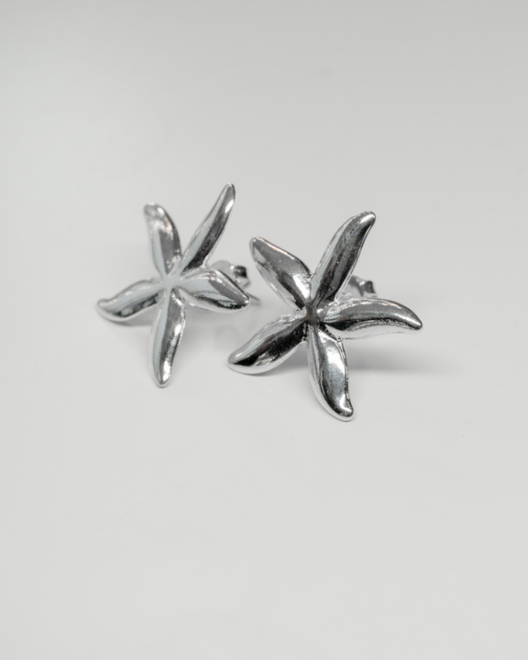 Aros Estrella de Mar